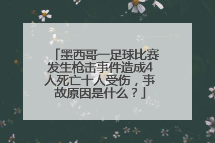 墨西哥一足球比赛发生枪击事件造成4人死亡十人受伤，事故原因是什么？