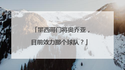 墨西哥门将奥乔亚，目前效力那个球队？