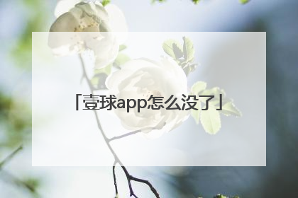 壹球app怎么没了