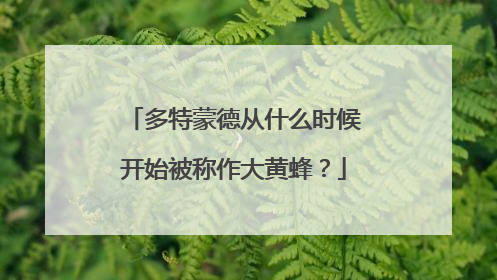 多特蒙德从什么时候开始被称作大黄蜂？