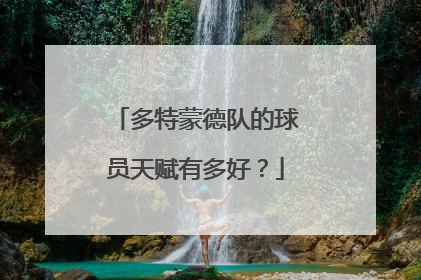 多特蒙德队的球员天赋有多好？