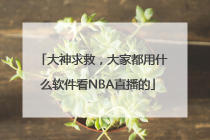 大神求救，大家都用什么软件看NBA直播的