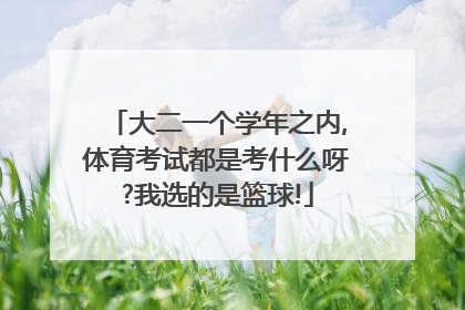 大二一个学年之内,体育考试都是考什么呀?我选的是篮球!