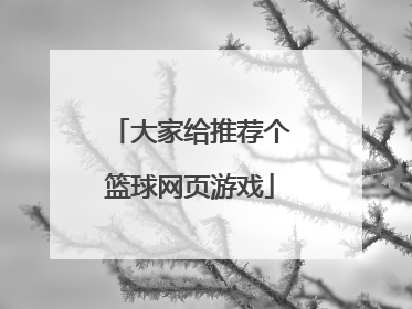 大家给推荐个篮球网页游戏