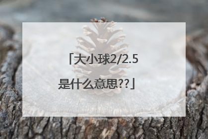 大小球2/2.5是什么意思??