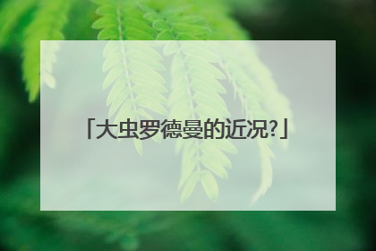 大虫罗德曼的近况?