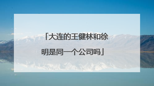 大连的王健林和徐明是同一个公司吗