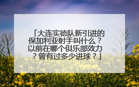 大连实德队新引进的保加利亚射手叫什么？以前在哪个俱乐部效力？曾有过多少进球？