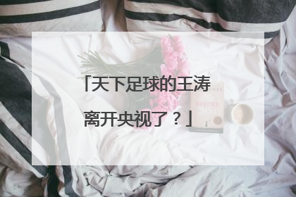 天下足球的王涛离开央视了？