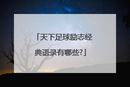 天下足球励志经典语录有哪些?