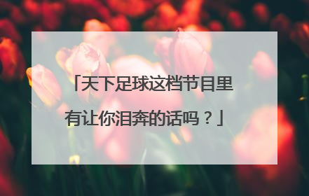 天下足球这档节目里有让你泪奔的话吗？