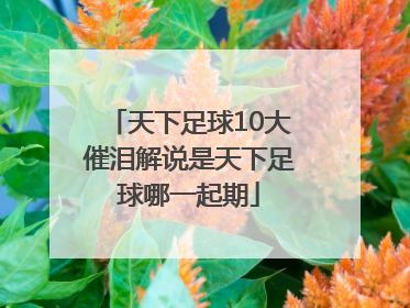 天下足球10大催泪解说是天下足球哪一起期