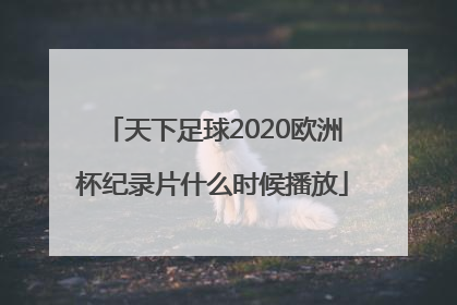 天下足球2020欧洲杯纪录片什么时候播放