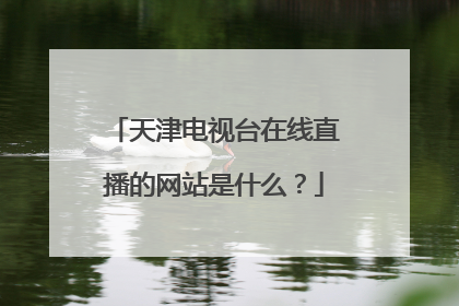 天津电视台在线直播的网站是什么？