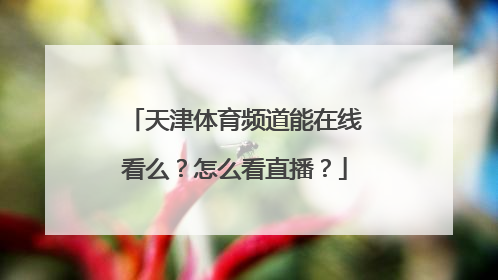 天津体育频道能在线看么？怎么看直播？