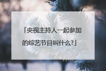 央视主持人一起参加的综艺节目叫什么?