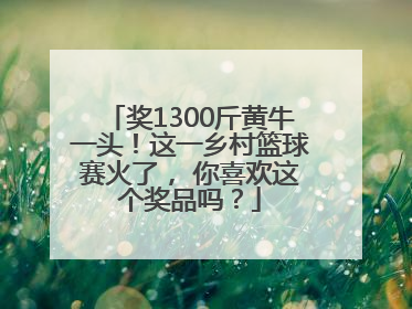 奖1300斤黄牛一头！这一乡村篮球赛火了， 你喜欢这个奖品吗？