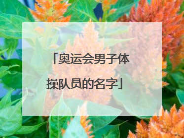 奥运会男子体操队员的名字