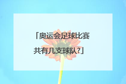 奥运会足球比赛共有几支球队?