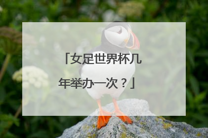 女足世界杯几年举办一次？