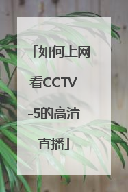 如何上网看CCTV-5的高清直播