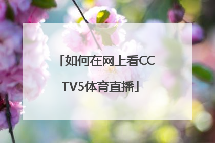 如何在网上看CCTV5体育直播