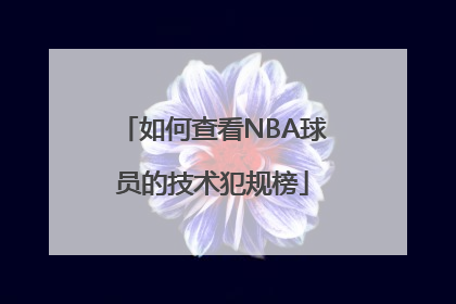 如何查看NBA球员的技术犯规榜