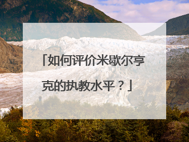 如何评价米歇尔亨克的执教水平？