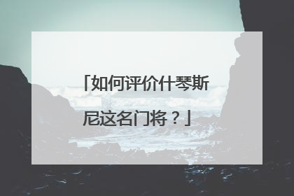 如何评价什琴斯尼这名门将？