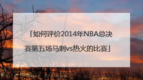 如何评价2014年NBA总决赛第五场马刺vs热火的比赛