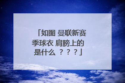 如图 曼联新赛季球衣 肩膀上的是什么 ？？？