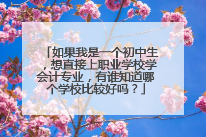 如果我是一个初中生，想直接上职业学校学会计专业，有谁知道哪个学校比较好吗？