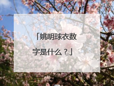 姚明球衣数字是什么？