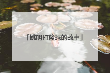 姚明打篮球的故事