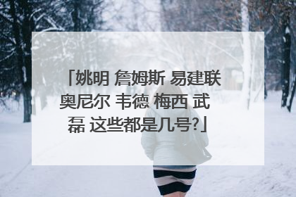 姚明 詹姆斯 易建联 奥尼尔 韦德 梅西 武 磊 这些都是几号?