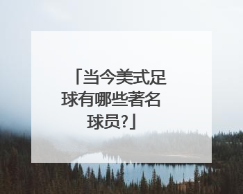 当今美式足球有哪些著名球员?