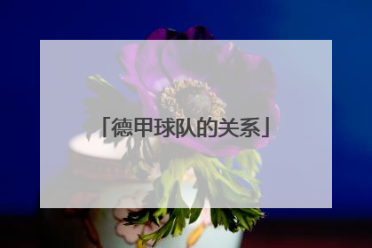 德甲球队的关系