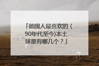 德国人最喜欢的（90年代至今)本土球星有哪几个？