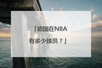 德国在NBA有多少球员？