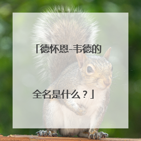 德怀恩-韦德的全名是什么？