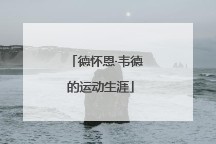 德怀恩·韦德的运动生涯