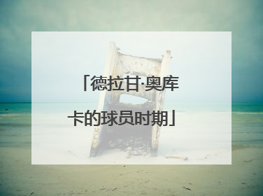 德拉甘·奥库卡的球员时期