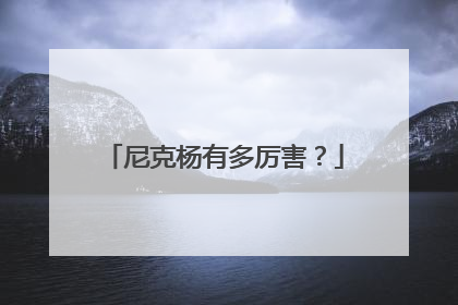 尼克杨有多厉害？