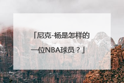 尼克-杨是怎样的一位NBA球员？