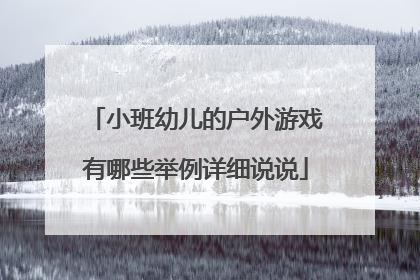 小班幼儿的户外游戏有哪些举例详细说说