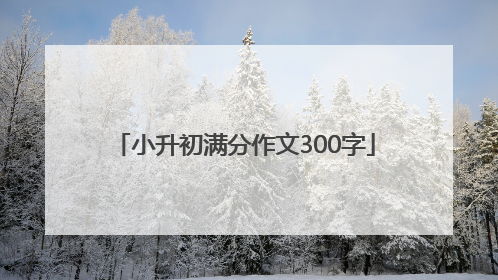 小升初满分作文300字