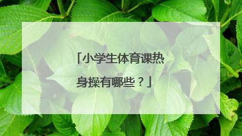 小学生体育课热身操有哪些？