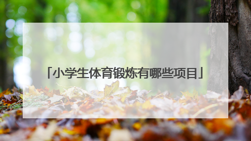 「小学生体育锻炼有哪些项目」小学生体育锻炼有哪些项目家里室内,10岁孩子