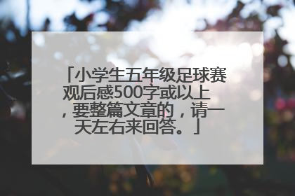 小学生五年级足球赛观后感500字或以上，要整篇文章的，请一天左右来回答。