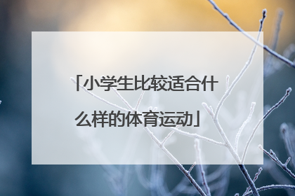 小学生比较适合什么样的体育运动